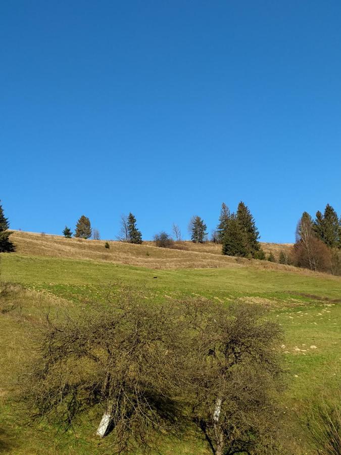 "Відпочинок В Карпатах" Villa Izki Buitenkant foto