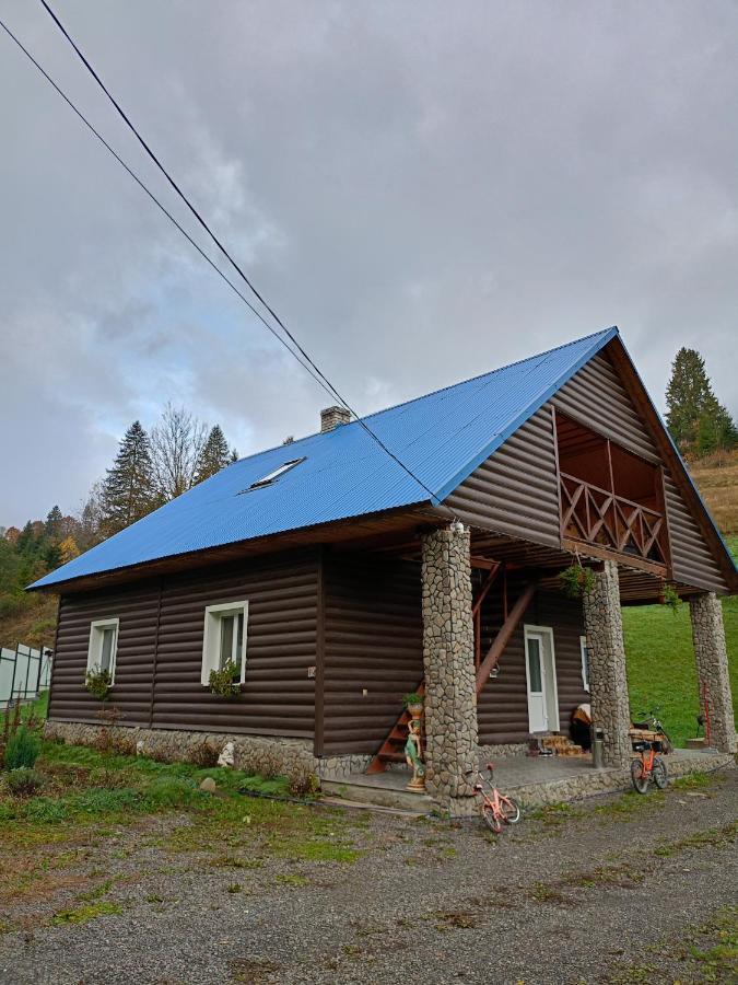 "Відпочинок В Карпатах" Villa Izki Buitenkant foto