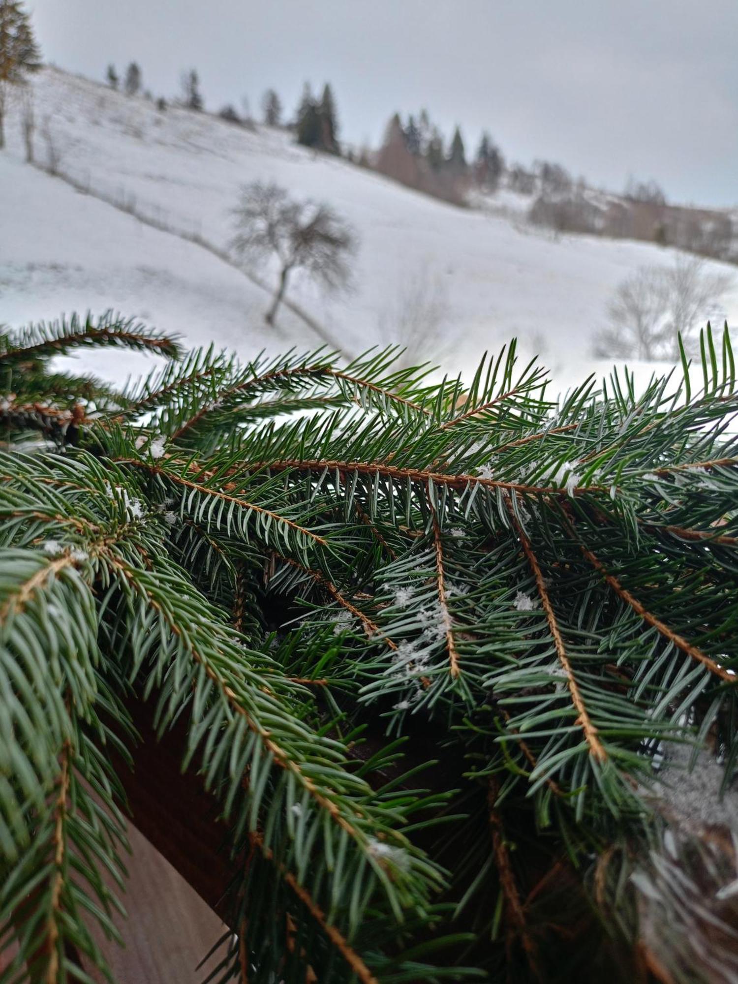 "Відпочинок В Карпатах" Villa Izki Buitenkant foto
